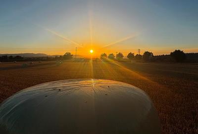 Posta de Sol del dia de Sant Joan des d'un camp de blat segat amb les bales de palla des de Vilafranca del Penedès. Jordina Jané